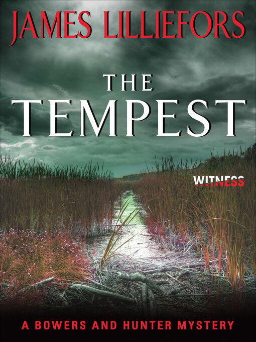 Title details for The Tempest by James Lilliefors - Wait list
